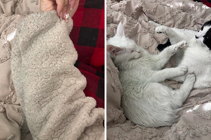 2025 Red Flag Guide: 10 Real Stories of “Worst Partner of the Year” - #3 Is Infuriating