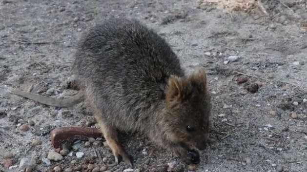 You'd Never Guess... 10 Unexpectedly Haunting Places Around the World