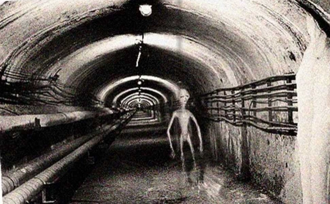 Did We Really Fight Back? Top 10 Chilling Accounts of Human vs. Alien Encounters